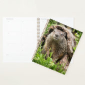 Grondhog in een Hollow Log Planner (Display)