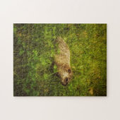 Grondhog in een veldpuzzel legpuzzel (Horizontaal)