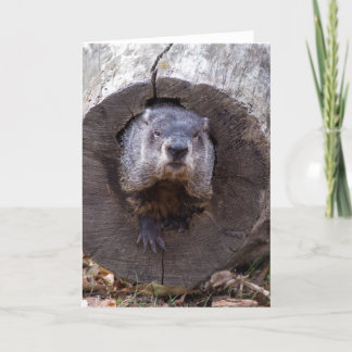 Grondhog Kaart