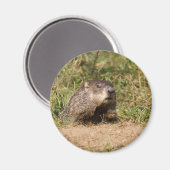 Grondhog Magneet (Voorkant / Achterkant)