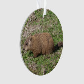 Grondhog Ornament (voorkant)