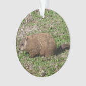 Grondhog Ornament (voorkant)