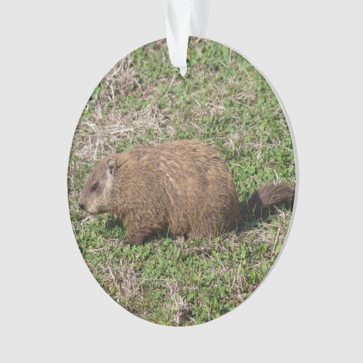 Grondhog Ornament (voorkant)