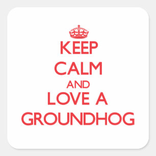 Grondhog Vierkante Sticker