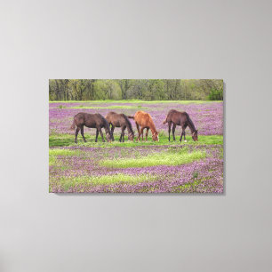 Grondige paarden in het hennepraakveld canvas afdruk