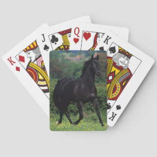Grondige paarden op het veld Bloem Pokerkaarten