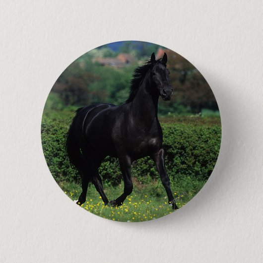 Grondige paarden op het veld Bloem Ronde Button 5,7 Cm (Voorkant)