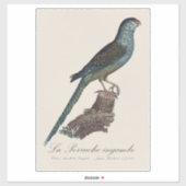 Grondpapegaai of Moerasparkiet, Pezoporus Wallicus Sticker (Vel)