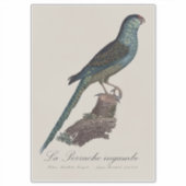 Grondpapegaai of Moerasparkiet, Pezoporus Wallicus Sticker (Voorkant)