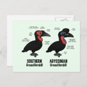 Grondstatistieken Briefkaart (Voorkant / Achterkant)