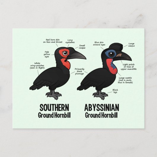 Grondstatistieken Briefkaart (Voorkant)