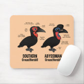 Grondstatistieken Muismat (Met muis)