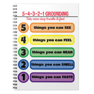 Grondtechniek voor angst/stress 5 zintuigen notitieboek