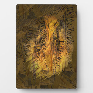 Grondwet American Bald Eagle Fotoplaat