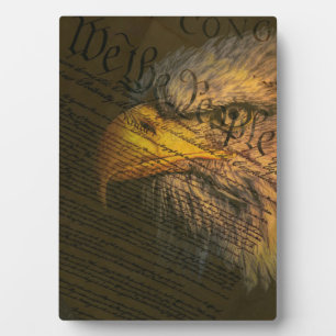 Grondwet met Bald Eagle Fotoplaat