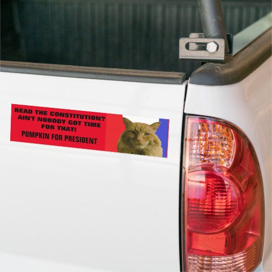 Grondwet? Niemand heeft daar tijd voor. Bumpersticker (Op Truck)