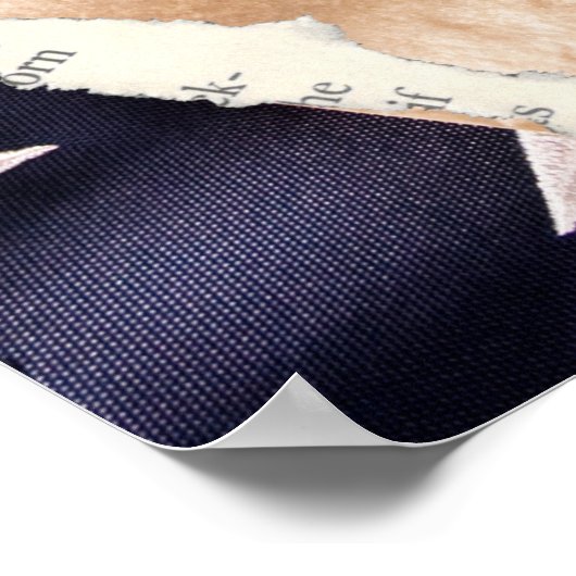 Grondwettelijk Poster (Hoek)