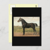 Groningen van Otto Eerelman Briefkaart (Voorkant / Achterkant)