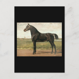 Groningen van Otto Eerelman Briefkaart