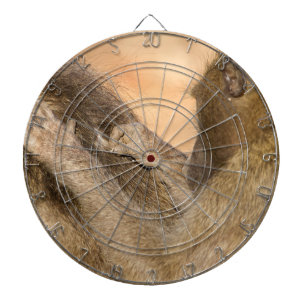 Grooming baboons dartbord