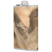 Grooming baboons heupfles (Links)