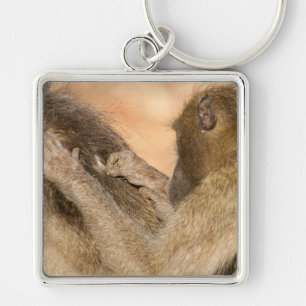 Grooming baboons sleutelhanger