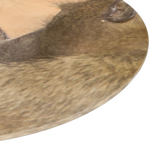 Grooming baboons snijplank (Hoek)