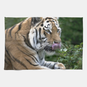 Grooming tijger theedoek