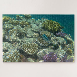 groot barrièrerif legpuzzel
