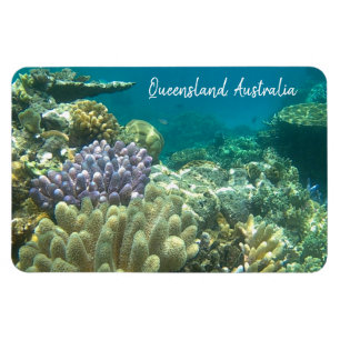 groot barrièrerif queensland magneet