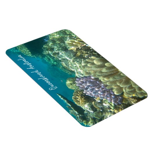 groot barrièrerif queensland magneet (Rechterzijde)