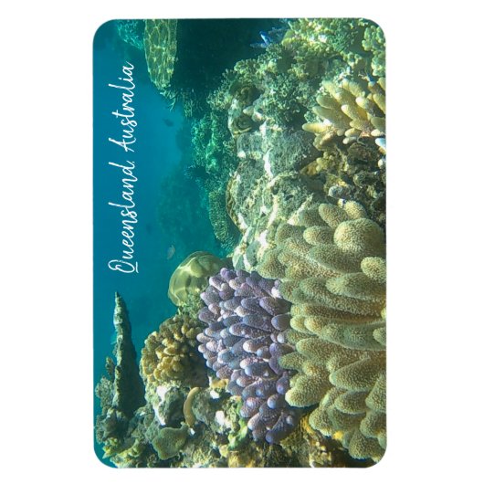 groot barrièrerif queensland magneet (Verticaal)