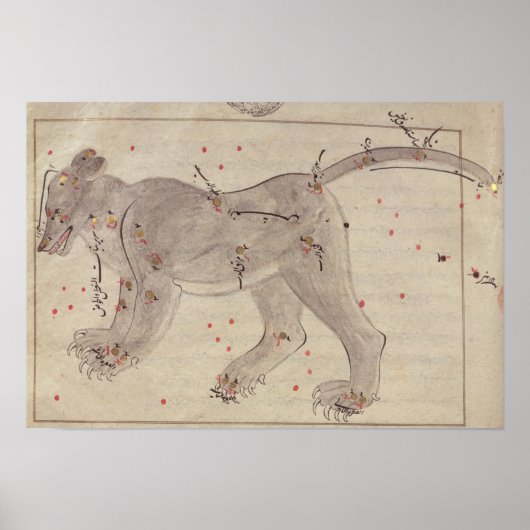 Groot Beer uit het Stars-boek na El Hussein Poster (Voorkant)