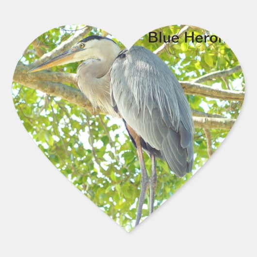 Groot blauw Heron vogel Hart Sticker (Voorkant)
