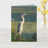 Groot Blauw Kaart (Gele Bloem)