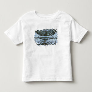 Groot Boeddha-detail, Kotokuji-tempel, Kamakura, 2 Kinder Shirts