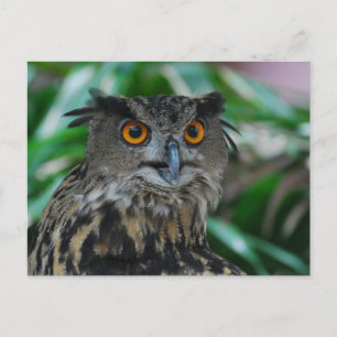 Groot Briefkaart