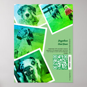 Groot Deen Kennel Promotie Poster