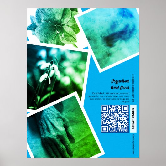 Groot Deen Kennel Promotie Poster (Voorkant)