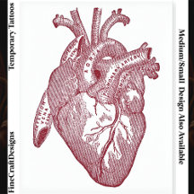 Groot Gelabeld Vintage Anatomisch Hart, Rood