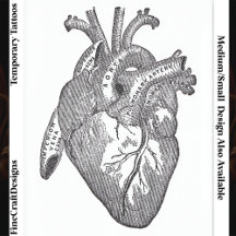 Groot gelabeld vintage anatomisch hart, zwart