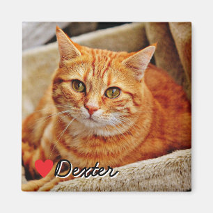 Groot gepersonaliseerd huisdier foto magneet