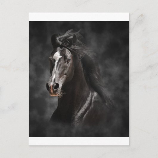 Groot, Gewaagd, en Trots Briefkaart (Voorkant)