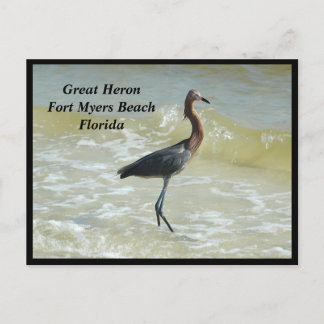 Groot Heron vakantie Briefkaart