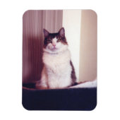 Groot Kat Magneet (Verticaal)