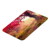 groot landschap met herfstbomen in het bos magneet (Linkerzijde)
