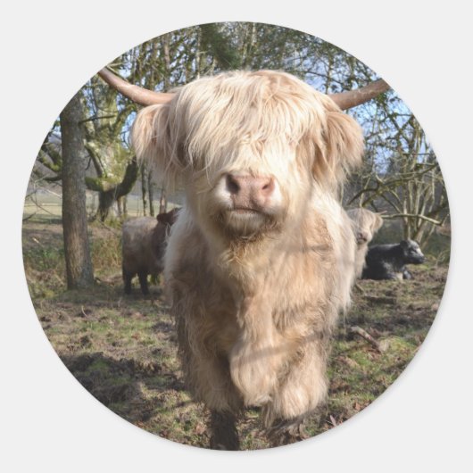 Groot om Schots te worden Ronde Sticker (Voorkant)