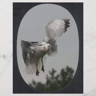 Groot ovaal Lijst (zwart)