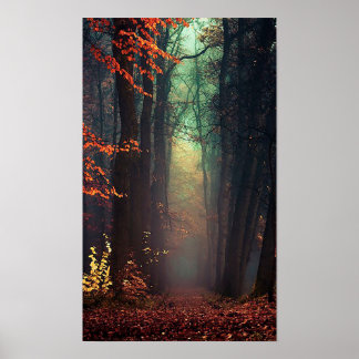 Groot Poster van de Natuur