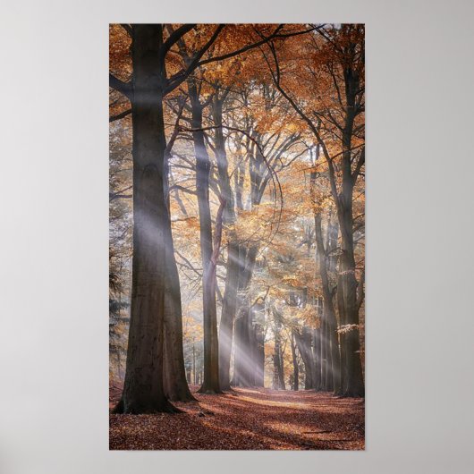 Groot Poster van de Natuur (Voorkant)